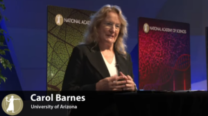 Neuroscientist Carol Barnes presenting 'Memory and the Aging Brain' at the National Academy of Sciences, highlighting her research on hippocampal function and brain aging.