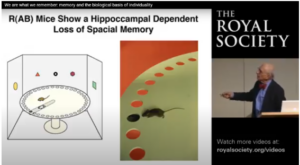 Nobel Prize-winning neuroscientist and HVS Image user Professor Eric Kandel delivers his talk, 'Memory and the Biological Basis of Individuality,' at the Royal Society.