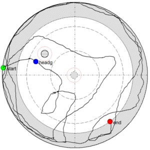 Morris water maze software path plot