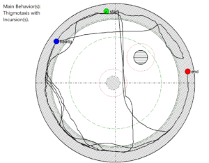 Morris water maze path plot generated by the HVS Image behavioral analysis system, showing swim path, analysis zones, calibrated platform positions and automatically identified behavior - thigmotaxis with incursions.